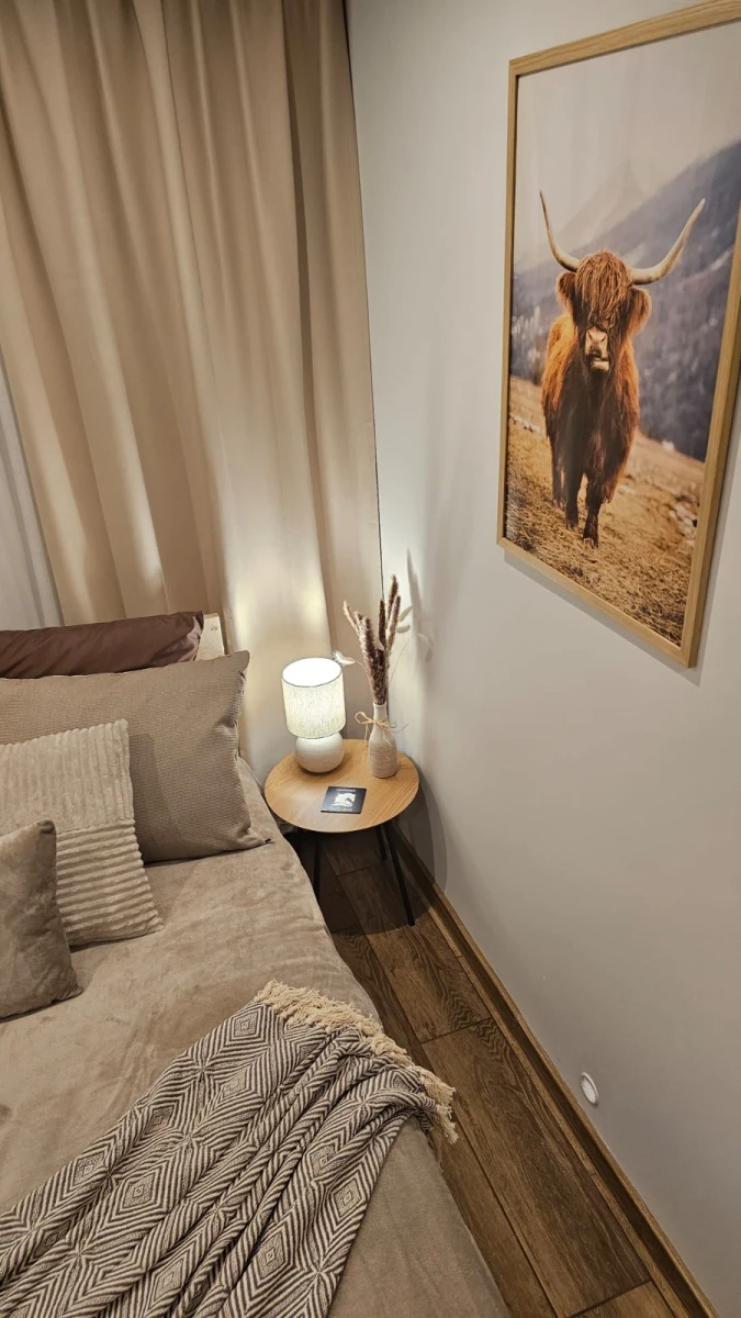 „Black & White Horse „