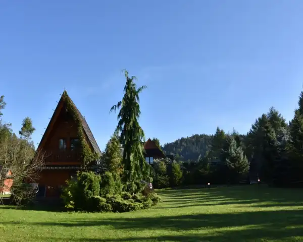DOMKI JANOSIK W ŁOPUSZNEJ - JANOSIK GÓRALSKI Z KOMINKIEM, JANOSIK 2 KOMFORT, JANOSIK PREMIUM, PSIOLUBNE