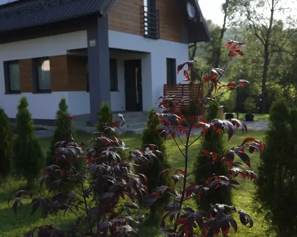 Domek nad potokiem 
