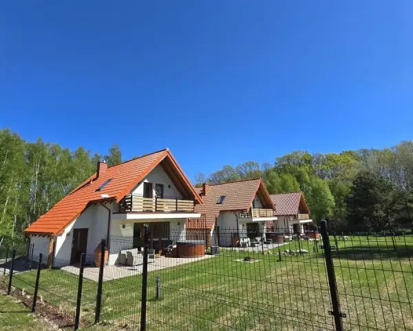 Szyszki i Motyle
