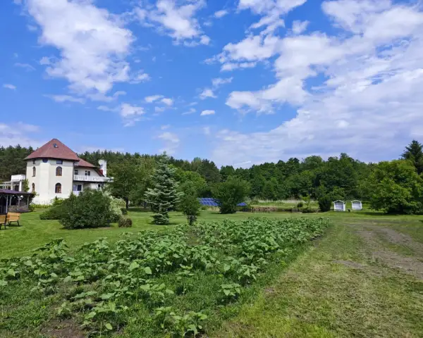Słoneczna farma