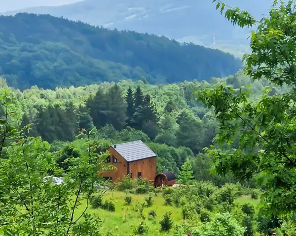 WidokowaSowa