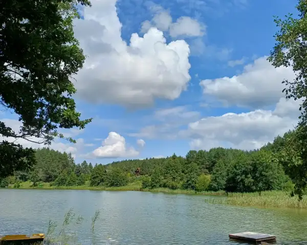 Domek u Bartnika dla 6-7 osób | Mazury | Basen, sauna i jacuzzi |