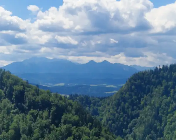 Apartamenty OWCA i BARAN