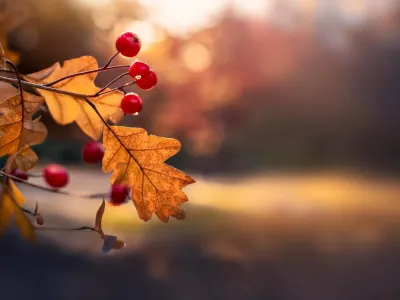Ranking: Najpiękniejsze miejsca w Polsce na jesienne zdjęcia