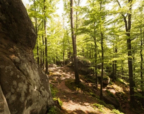 Bieszczady Co Warto Zobaczyć: Najlepsze Miejsca 